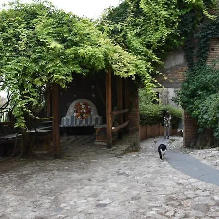 Il Cortile Del Castello *