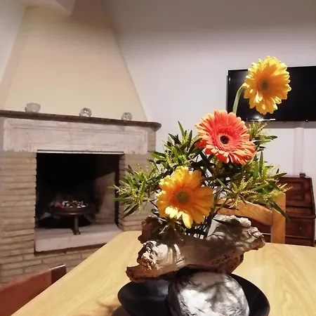 Il Cortile Del Castello Πανσιόν Capena